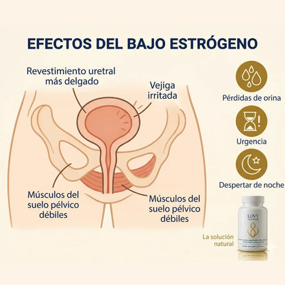 Urocontrol | Apoyo Natural para Vejiga, Riñones y Salud Urinaria Femenina